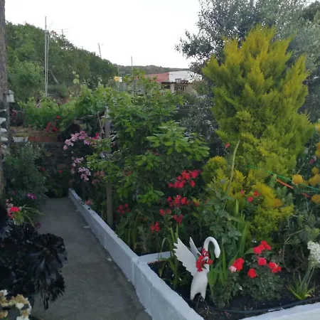 Casa Tin