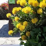 Casa Tin Сasa de vacaciones Isora
