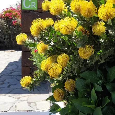 Casa Tin Vakantiehuis Isora