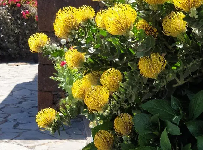 Casa Tin Holiday home Isora